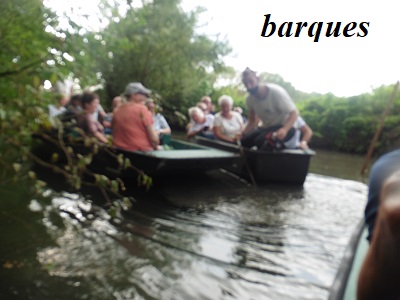 barques