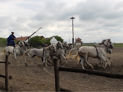 danube Puszta gardians